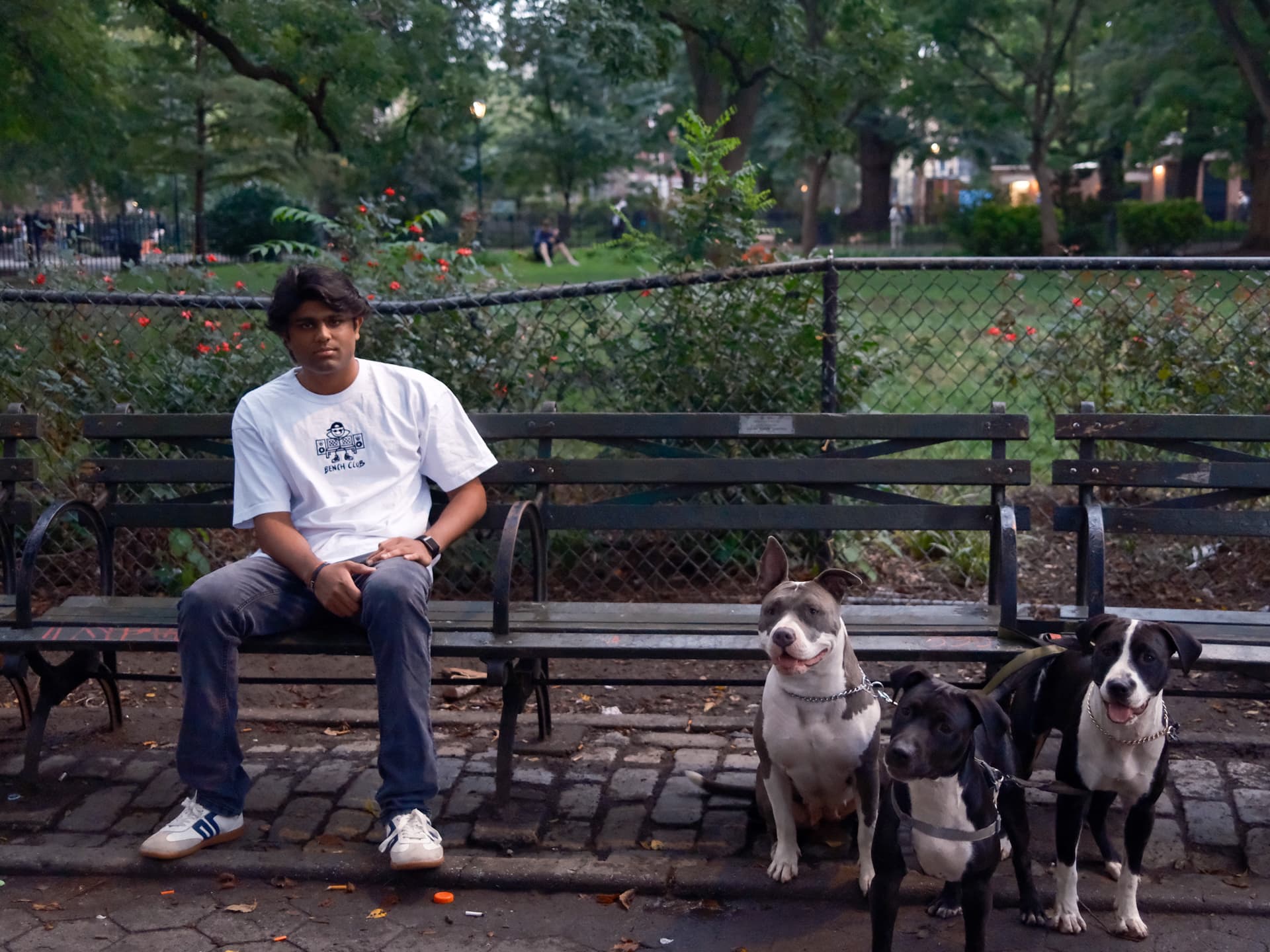Man in a white Bench Club tee on a park bench with three dogs